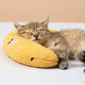 🐱Katze Schönes gemütliches Kissen🐶